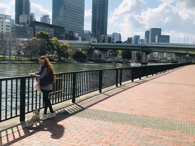 毎日桜。_a0050302_23563700.jpg