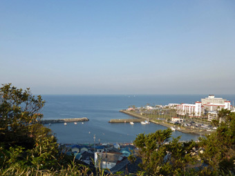 小坪港のワカメ_c0195909_10192599.jpg