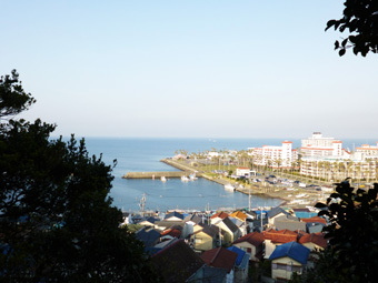 小坪港のワカメ_c0195909_10193529.jpg