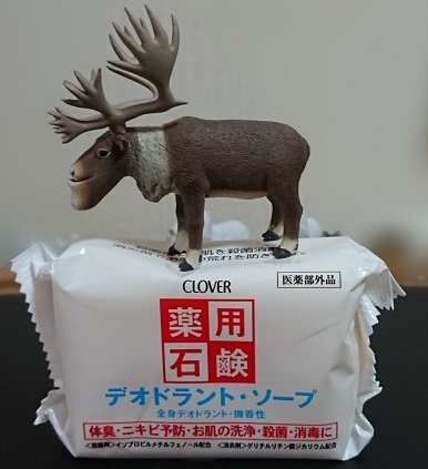 ダイソーのマルセイユせっけんにゃ 毎日が好奇心 ダイソーのマルセイユせっけんにゃ 毎日が好奇心