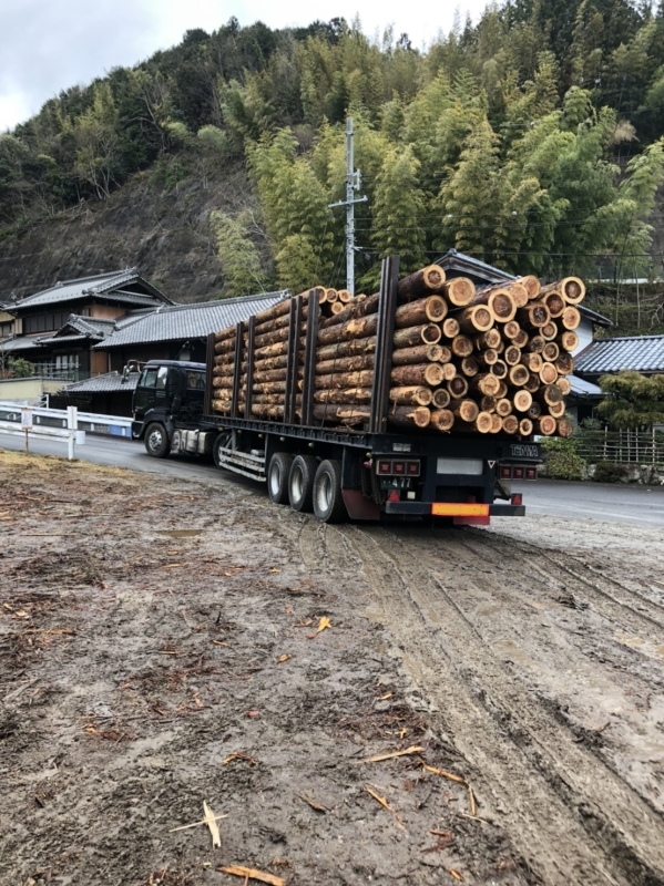 長良川事業協同組合(中国木材)さんへ初出荷_e0415021_15363554.jpg