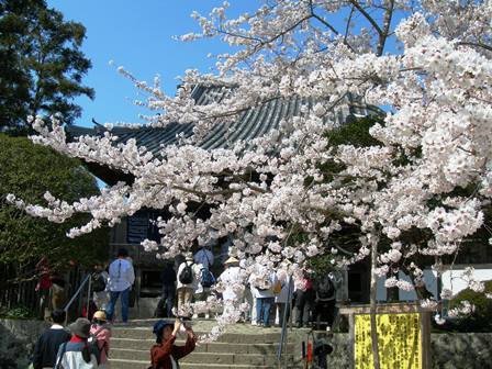 第1番霊山寺~第11番藤井寺 2006_f0213825_17101295.jpg