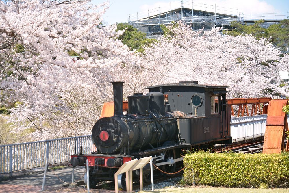 尾西鉄道1号機関車付近のソメイヨシノ 2020年_e0373930_22260408.jpg