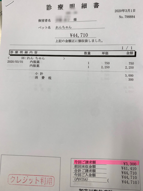 れんちゃん医療費のご報告_d0355333_11555107.jpg