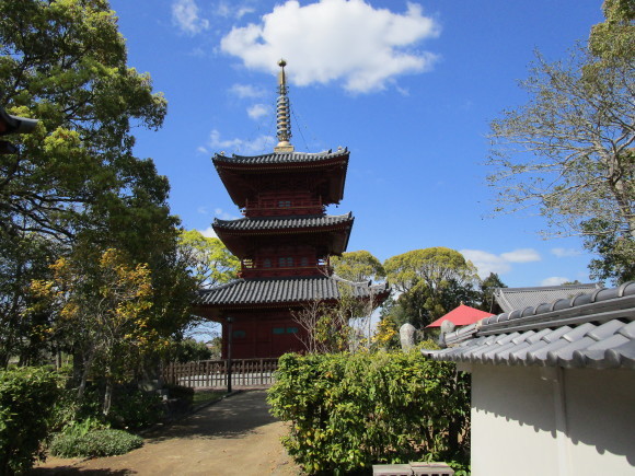豊前国分寺跡のクスの若葉_a0237545_00584154.jpg