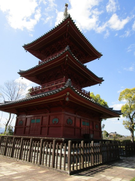 豊前国分寺跡のクスの若葉_a0237545_00594674.jpg