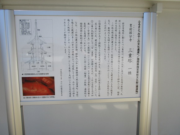 豊前国分寺跡のクスの若葉_a0237545_01015793.jpg