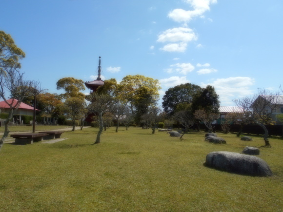 豊前国分寺跡のクスの若葉_a0237545_01025654.jpg