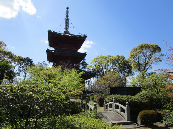 豊前国分寺跡のクスの若葉_a0237545_01071946.jpg