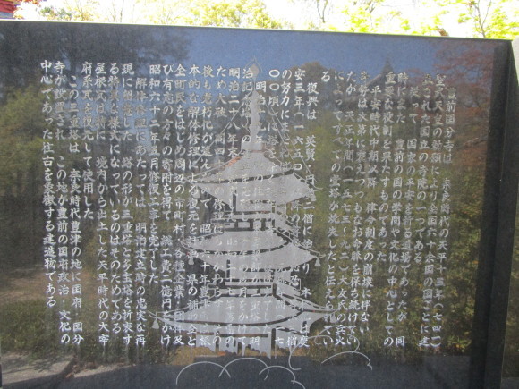 豊前国分寺跡のクスの若葉_a0237545_01075637.jpg