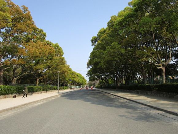 名神大社・箱崎八幡宮のクスと桜と_a0237545_16372029.jpg