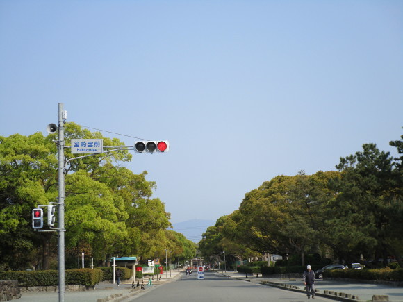 名神大社・箱崎八幡宮のクスと桜と_a0237545_16400149.jpg