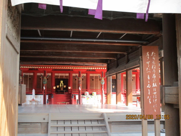 名神大社・箱崎八幡宮のクスと桜と_a0237545_16522154.jpg