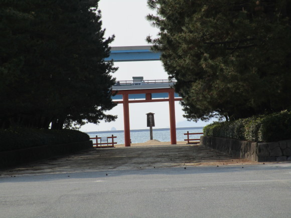 名神大社・箱崎八幡宮のクスと桜と_a0237545_16572539.jpg