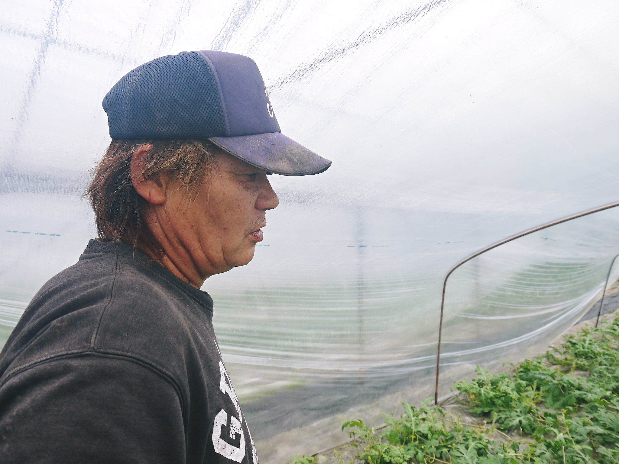 夢スイカ 熊本県産!匠が育てた大玉スイカ『春のだんらん』 令和4年の先行予約受付スタート!! _a0254656_18172793.jpg