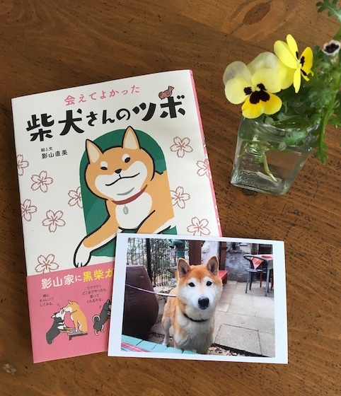 発売日です アトリエkotori のほほん柴犬日和