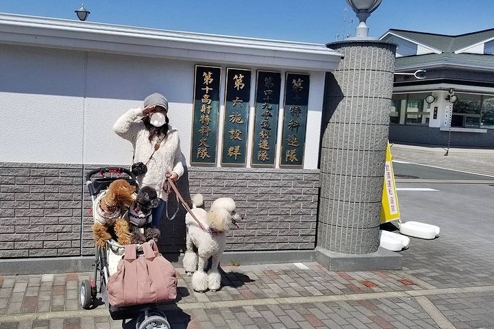 諏訪の桜トンネル。_b0111376_15260798.jpg