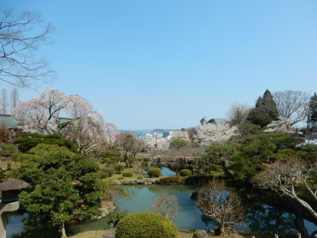 必要な用事ついでにお花見_e0355177_15554877.jpg