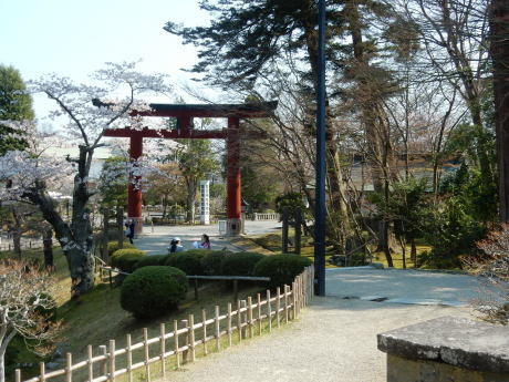 必要な用事ついでにお花見_e0355177_15561056.jpg