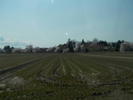 苔むす石仏-小千谷墓参_a0203003_16545585.jpg