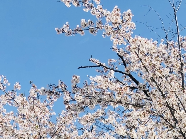 束の間の息抜き_e0061304_00055624.jpg