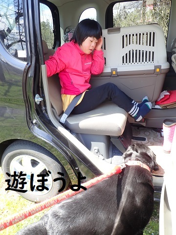 なっちゃんプーちゃんの日々開始。_c0182012_13452718.jpg