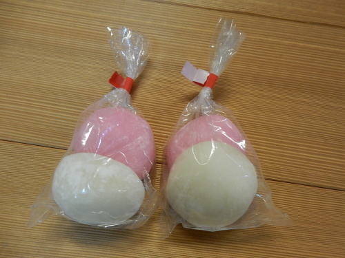 上棟_d0130212_17041666.jpg