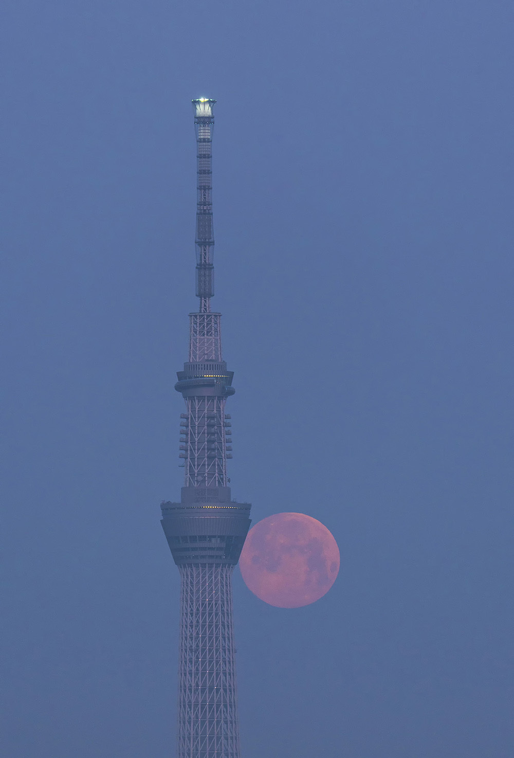 スーパームーン_f0324026_06170833.jpg