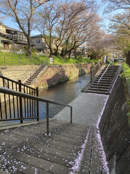 早朝のウォーキング☆_c0152341_13533648.jpg