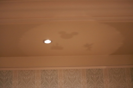 ディズニーブログのススメ インパ時の写真撮影について 東京ディズニーリポート