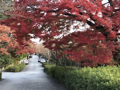 青春時代の友と湖西を楽しむ、午後の部_e0044657_20341651.jpg