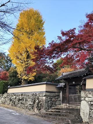 青春時代の友と湖西を楽しむ、午後の部_e0044657_21125312.jpg