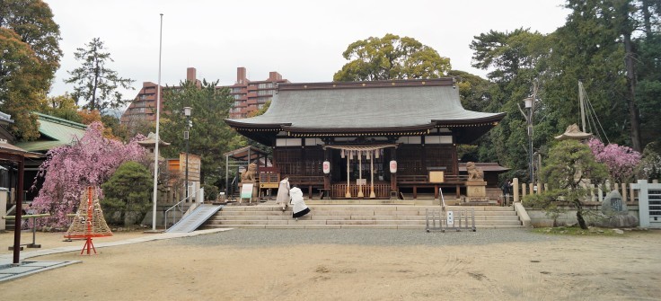 弓弦羽神社の枝垂れ桜 @神戸・御影_b0063958_23090568.jpg