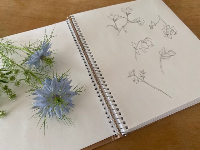Quiet time 癒されながら花を描いて・・・_a0165160_10435723.jpg