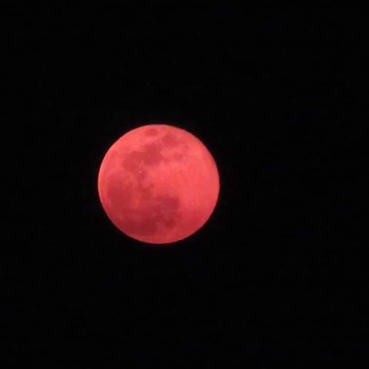 聖木曜日の前の晩。。。Pink supermoonが世界を照らしました。。。☆*+☆*+☆*..._a0053662_11281535.jpg