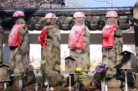 負けるな、福島の桜！①（福聚寺～2020.4.8）_e0170863_20560886.jpg