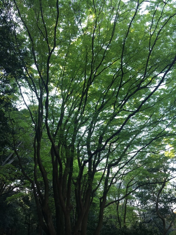 建勲神社_f0363168_23450040.jpeg