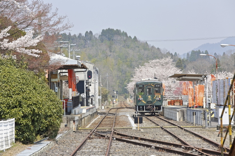 お花見日記　2020_c0196076_07573879.jpg