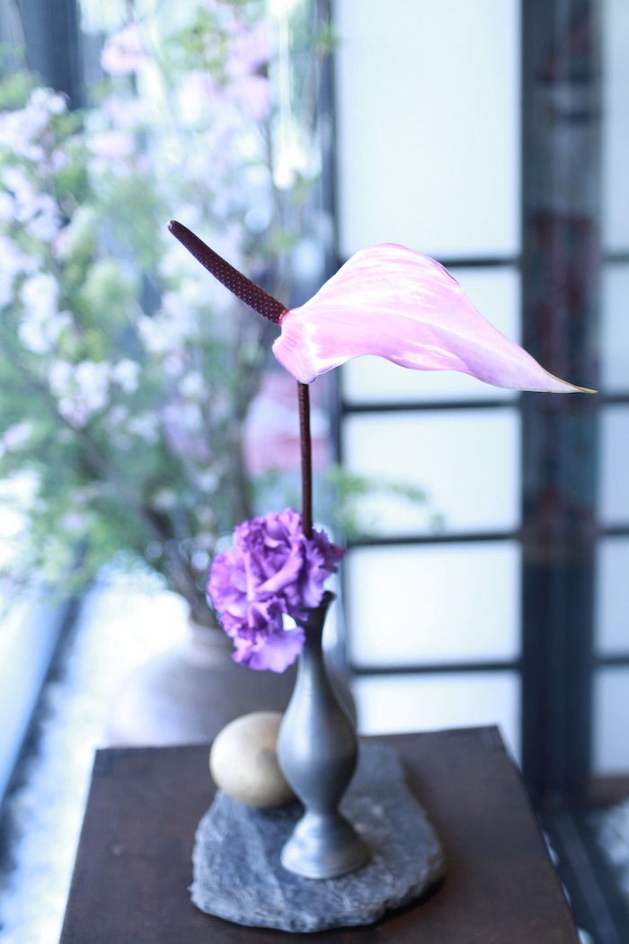 アンスリウムの花_d0335577_07424176.jpeg