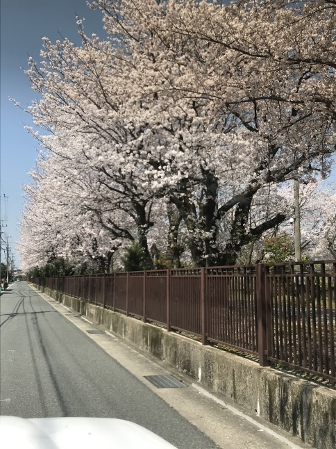 感謝★ 祈り★ 通販★ _d0152280_08033910.jpeg