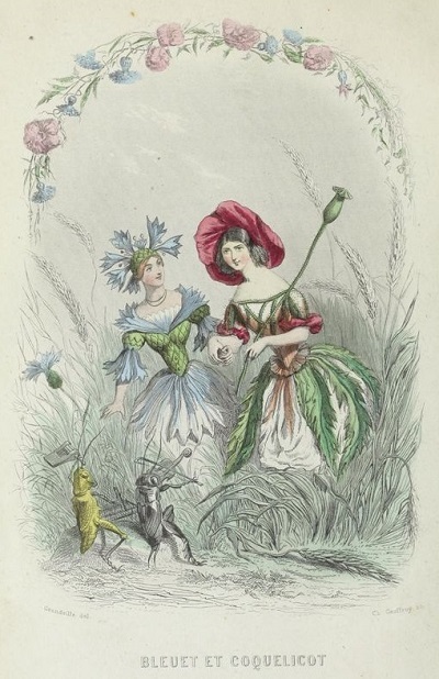 グランヴィルの「花の幻想」の素描:ナンシー市立図書館蔵_c0084183_14155880.jpg
