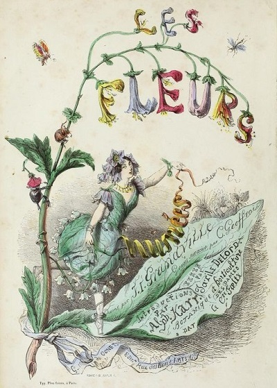 J・J・グランヴィル:Les fleurs animées_c0084183_14160280.jpg
