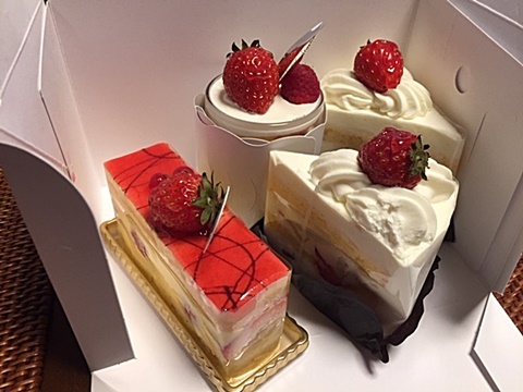 小さな庭&ハナズオウ・庭で咲く君子ラン_d0046702_11350967.jpg