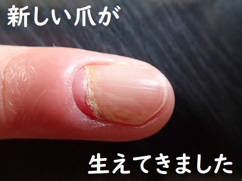 家ごもりの金曜日。_c0182012_15420606.jpg