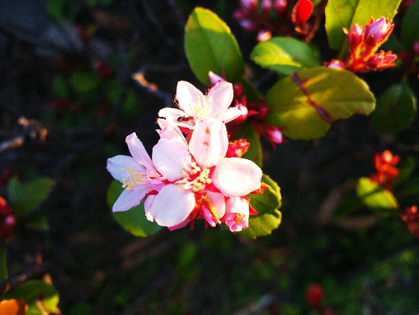 散歩はありです。_a0098418_14064645.jpg