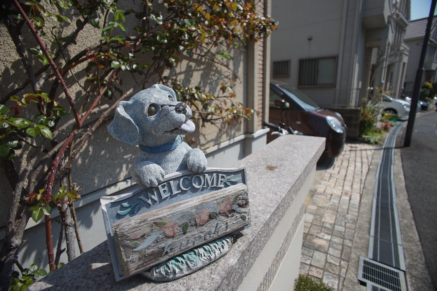 スピラトーン 18mm F3.5 で 散歩_b0069128_09004224.jpg