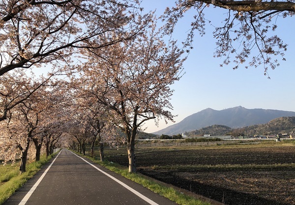 企画展延期と臨時休業のお知らせ_b0100229_12152752.jpg
