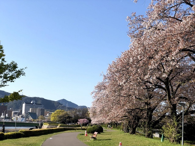 静かな週末:外出自粛要請_d0085254_19563229.jpg