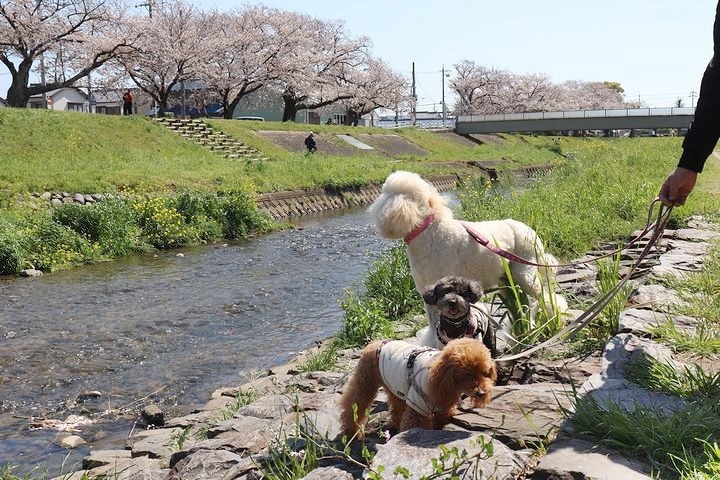 無理は禁物。_b0111376_14473445.jpg