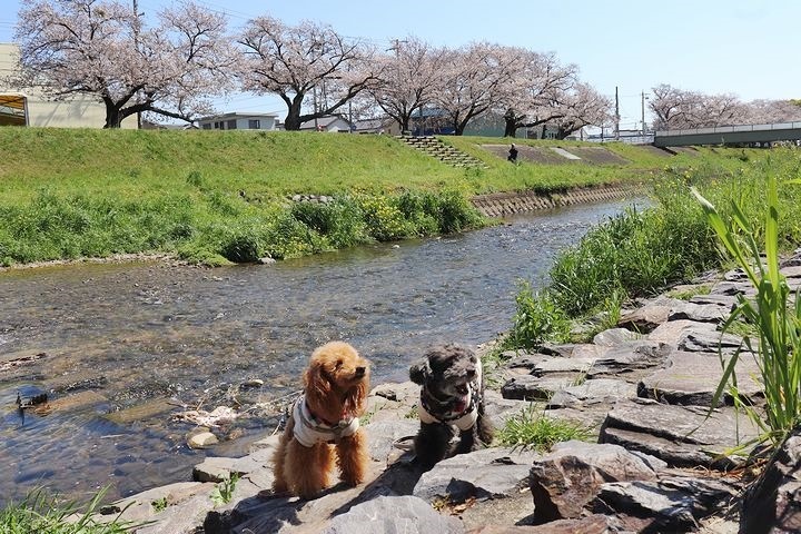 無理は禁物。_b0111376_14474430.jpg